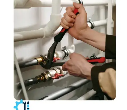 ramonage poele à bois La Chaize-le-Vicomte-3