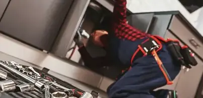 ramonage poele à bois La Mothe-Achard-2