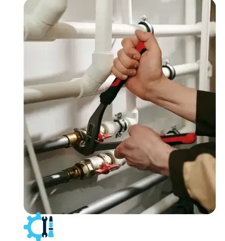 ramonage poele à bois La Mothe-Achard-5